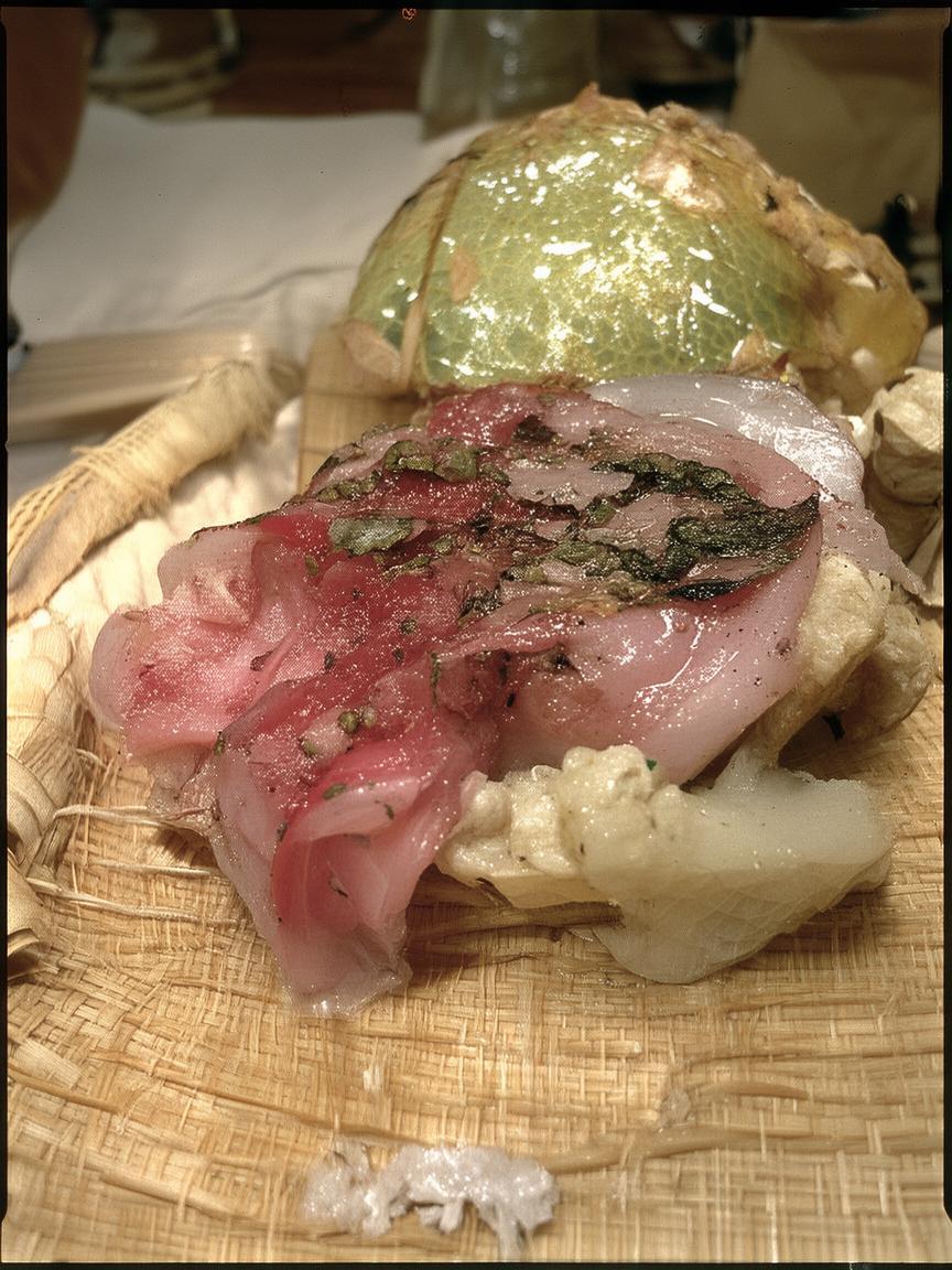 涨粉推流抖音热歌有哪些_抖音热歌涨粉技巧插图